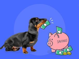 dog putting money into savings