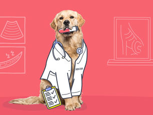 a dog dressed as a doctor
