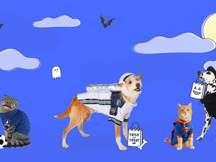 dogs and cats dressed up for halloween