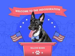 a happy dog called biden