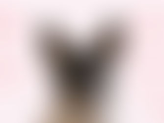 dog with many names