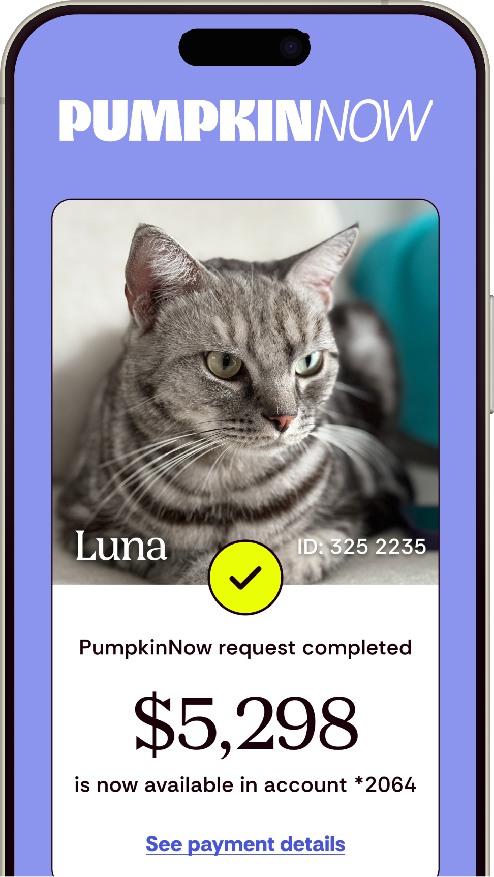 Preview of Pumpkin Now Claims submission for Luna the cat, the claim amount being paid is $5,298
