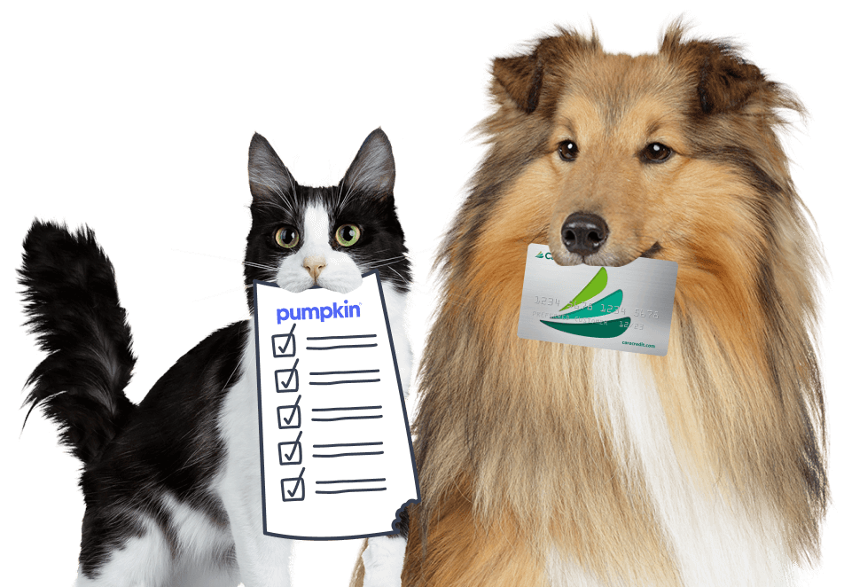 CareCredit_LP-Hero.png