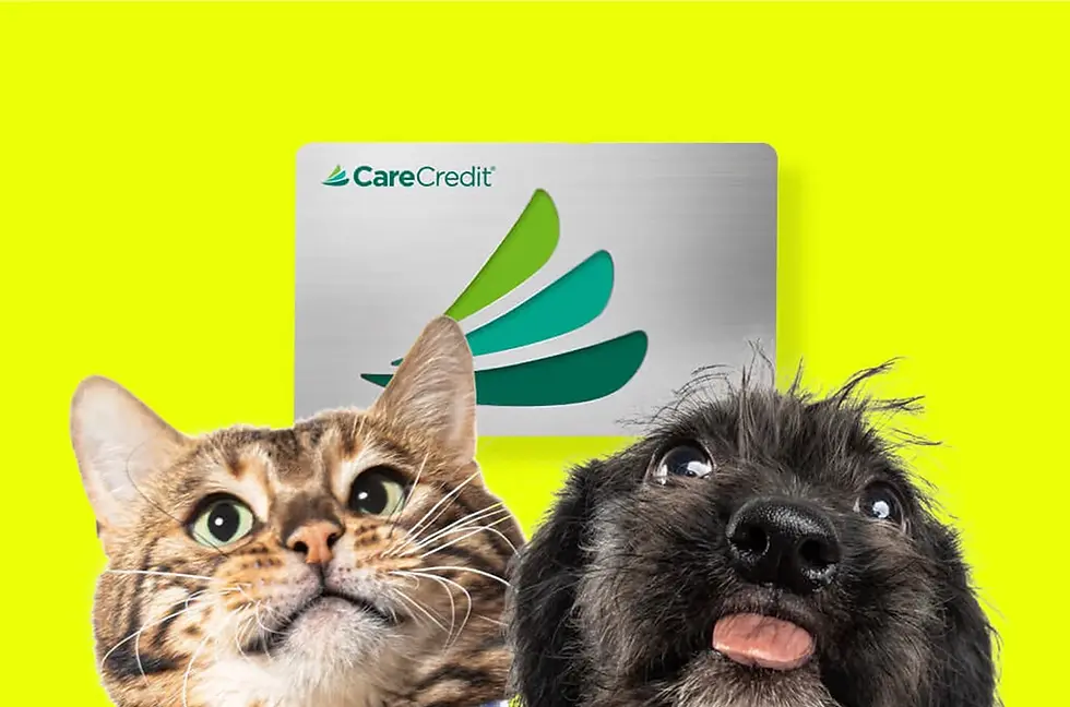 CareCredit-Partnership.webp