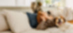 Hero-Multipet-Living_Room-Large-No_Gradient.jpg