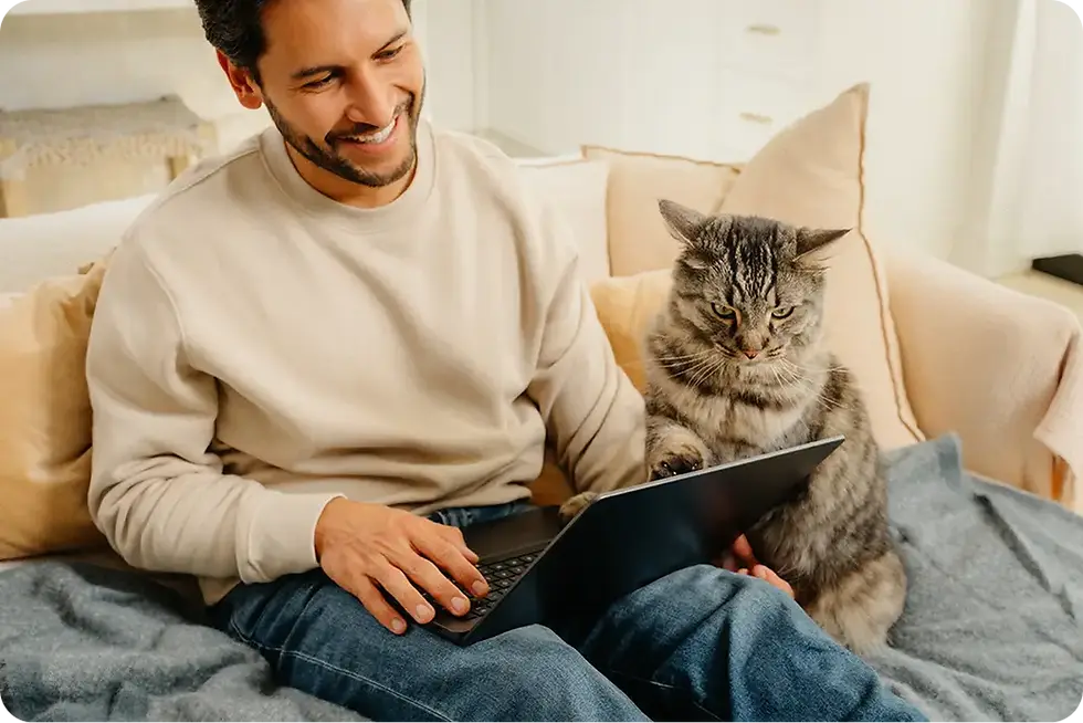 Cat looking at pumpkin plans on a laptop