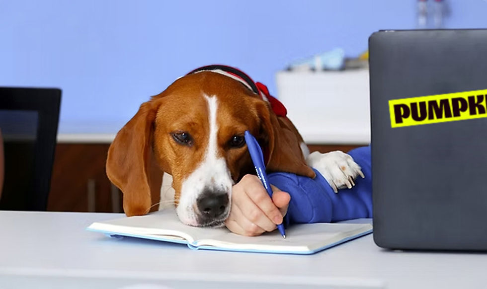 Lifestyle-Jonathan-Laptop.jpg
