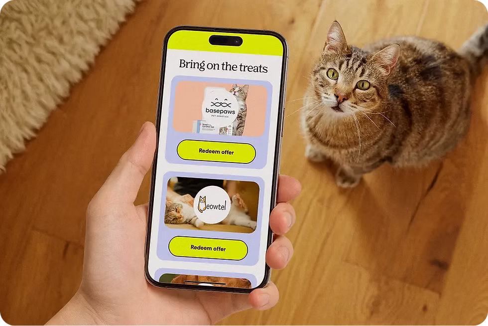 Cat looking up at owner holding a phone displaying treats offered by Pumpkin Wellness Club