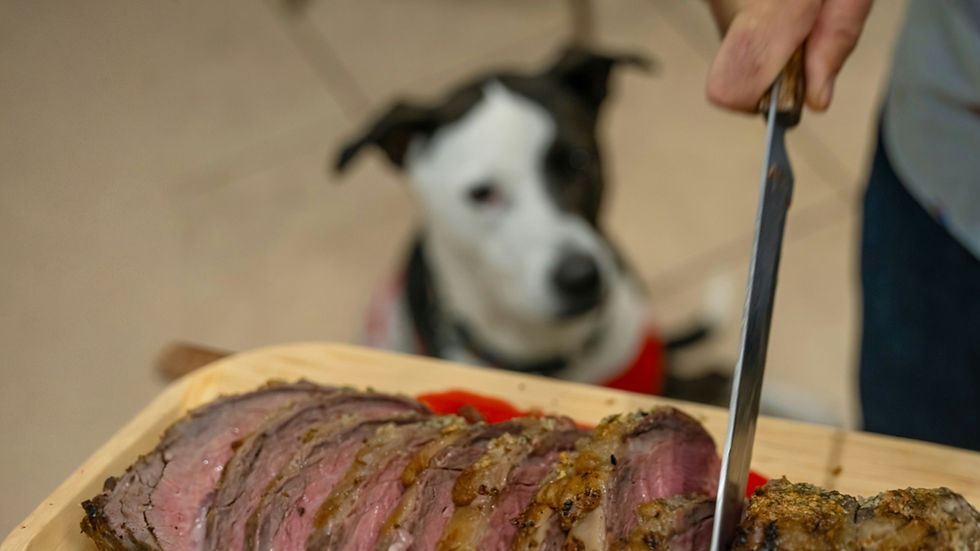 Person slices roast beef on a cutting board while a black-and-white dog waits eagerly in the background.