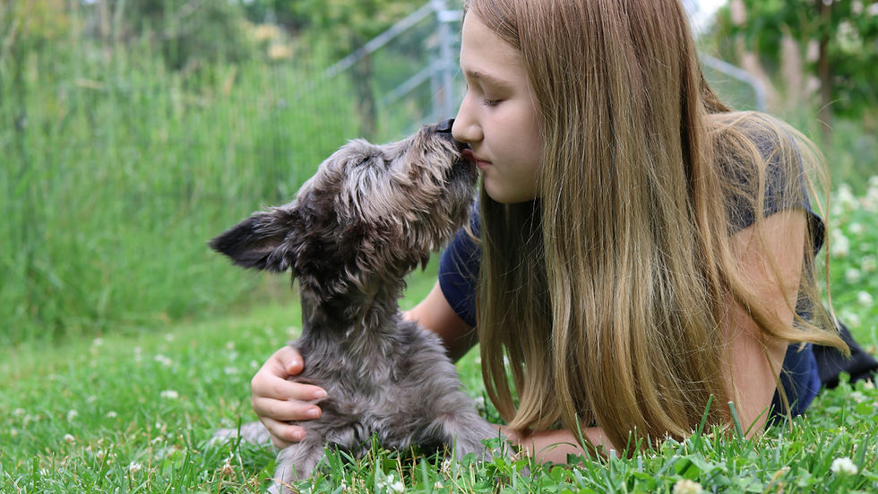 Dog gives a girl kisses