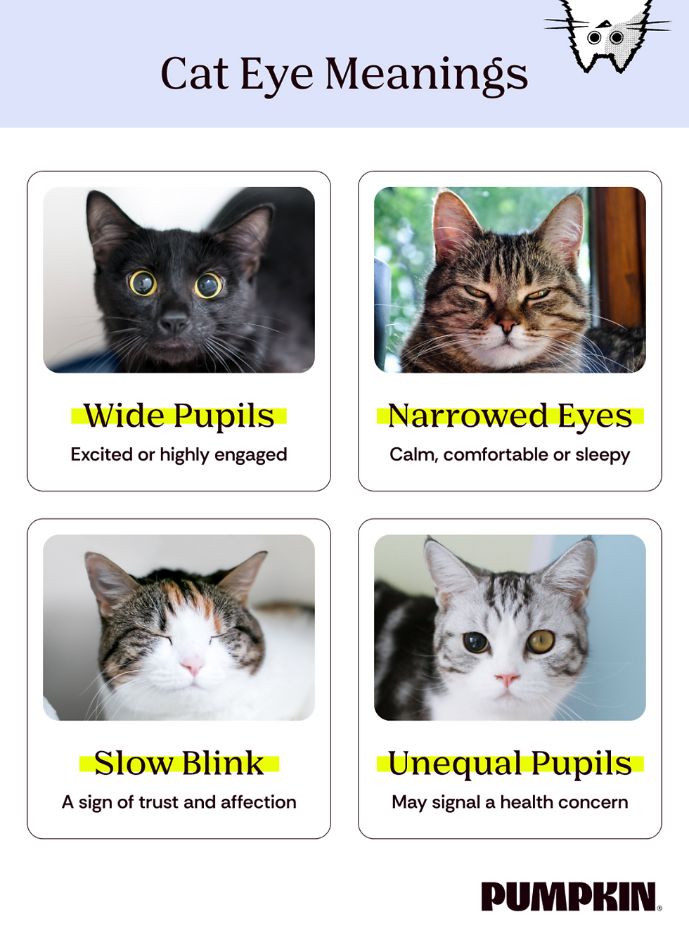 Infographic showing wide pupils, narrowed eyes, slow blink, and unequal pupils.