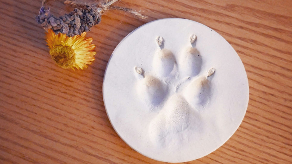 White round paw-print mold