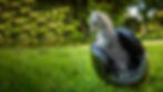 Gray kitten sitting in a black motorcycle helmet