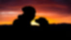 Silhouette of a person and dog facing each other at a vivid orange-purple sunset