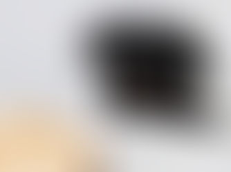 Dog staring at a pie