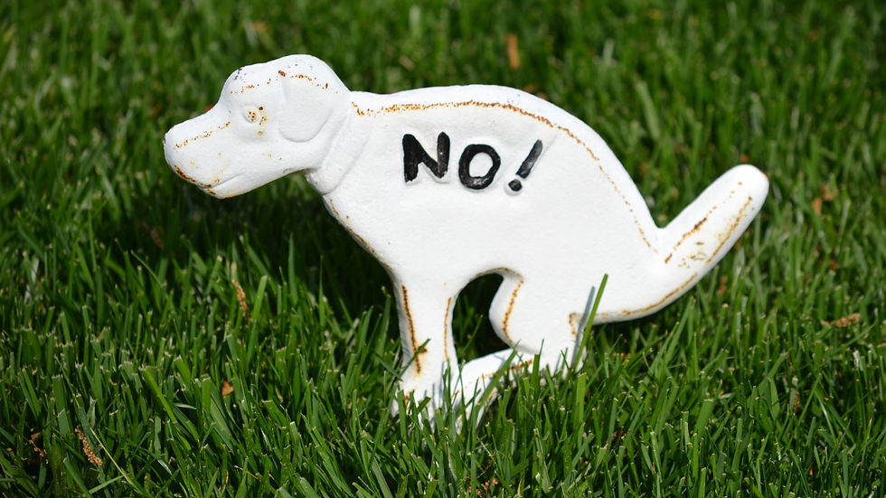 A funny sign shaped like a dog pooping with the word "No!" on it