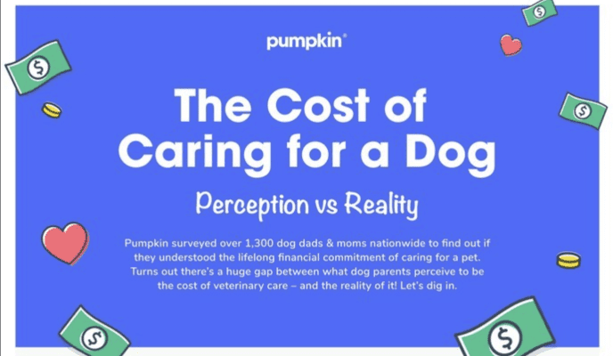 New Survey from Pumpkin Reveals Major Gaps Between Perception and Reality in Costs of Dog Ownership