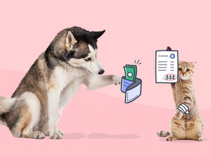 dog reaching out with paw to a wallet and a cat holding a bill with dollar signs on it