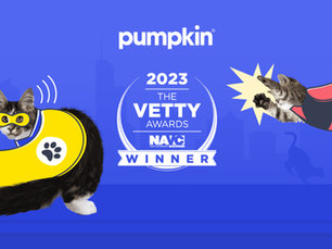 purple background with two cats dressed up in red and yellow super hero costumes. white text reads "pumpkin, 2023, the VETTY awards winner"