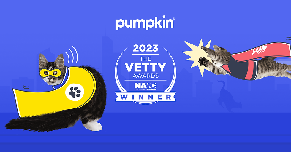 Pumpkin’s “The Galaxy's Best Pet Insurance” Campaign Wins 3 VETTY Awards®