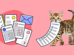 cat with a check list in mouth