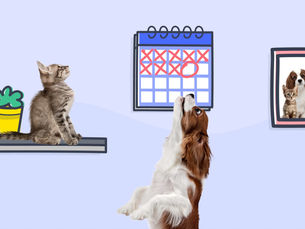 a cat on a shelf looking at a calendar while a dog jumps up and another dog is in a small picture frame on the wall