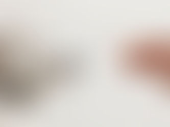 white dog being given a pill by a human hand