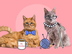 two cats sitting and laying down with cartoon yarn, cane, pearls, bow tie and coffee mug