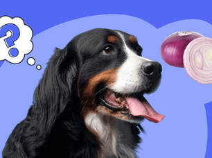 dog with onion next to them