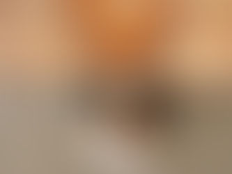 dog looking up on a table with a plate of beans on it