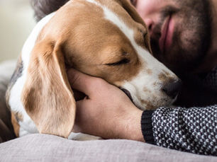 dog cuddling with human owner