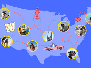 cartoon map of america with a car and map lines to different photos of cities across the country