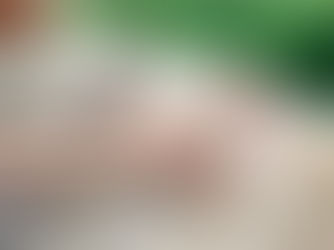 I Found a Sudden Lump Under My Dog’s Skin: What Now?