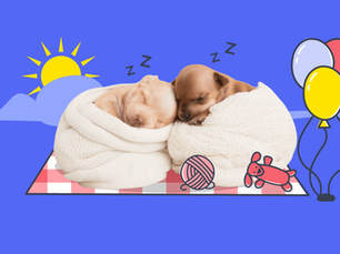 two puppies sleeping in a pile of blankets