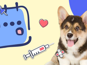Puppy Vaccine Schedule: A Complete Guide to Puppy Shots