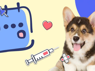 Puppy Vaccine Schedule: A Complete Guide to Puppy Shots