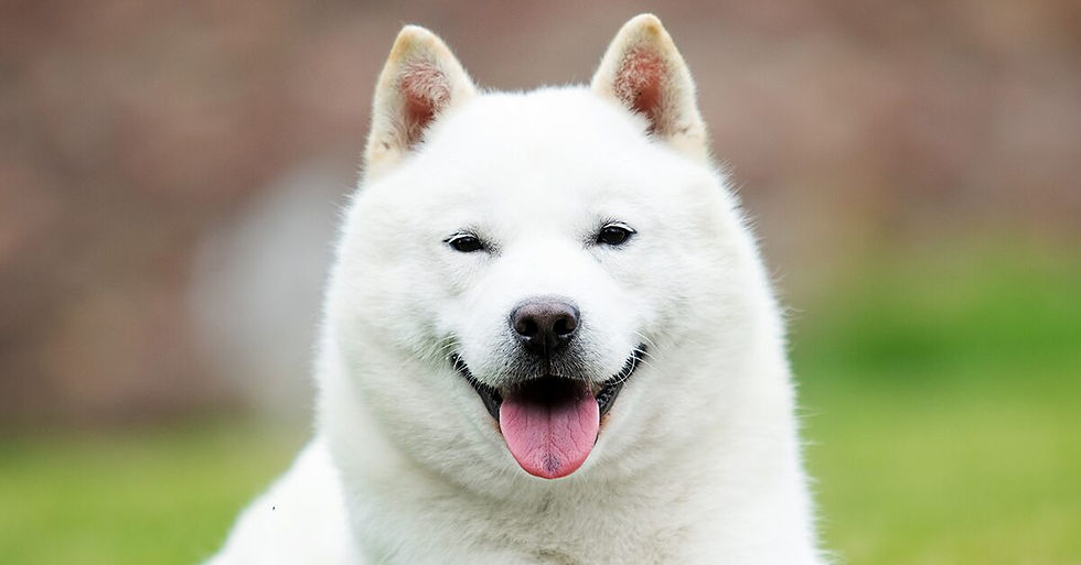 Hokkaido
