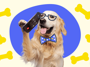 dog with a bow tie on the phone