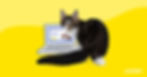 When Is the Best Time To Buy Pet Insurance?