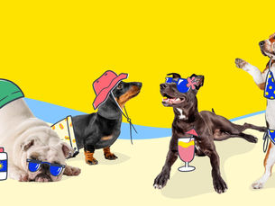 four dogs with cartoon clothes and hats and drinks in a cartoon beach background