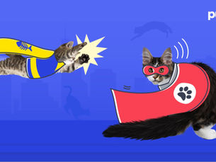 two cats on a purple back ground dressed up in super person attire, one in red and the other in blue and yellow with white text in right corner that reads "pumpkin"