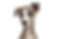 whippet