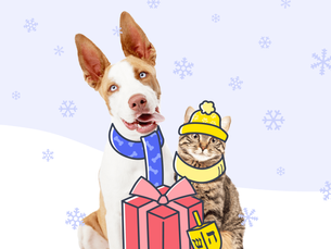 dog and cat with a hat and in front of a cartoon present and 