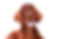 irish setter