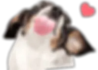 Peanut-1.webp