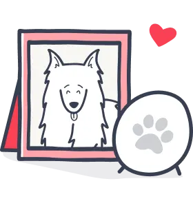 Illustration pet grief memorial