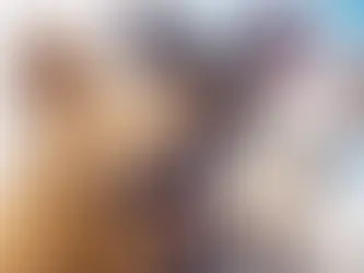 multiple dogs looking off camera in a kennel