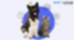 What Pet Benefits to Ask For at Work