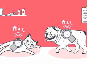 illustration of a dog and cat getting microchips scanned
