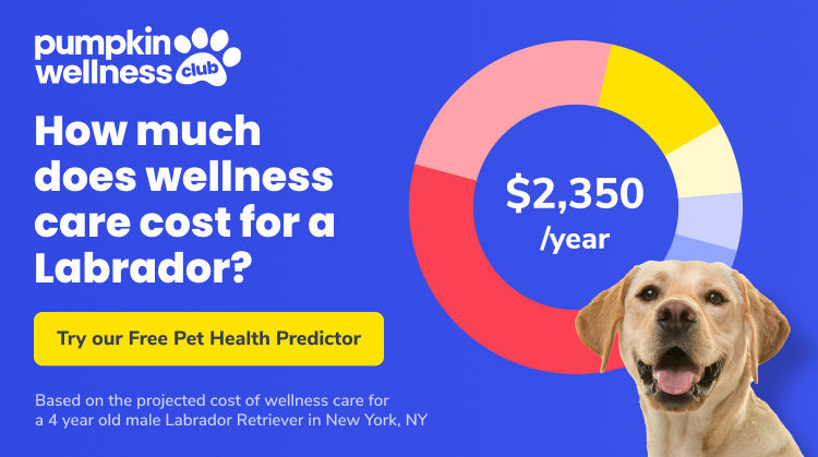 Graph showing that a labrador costs $2,350/year for wellness care. Text reads Pumpkin Wellness Club, How much does wellness care cost for a Labrador? Try our Free Pet Health Predictor. Based on the projected cost of wellness care for a 4 year old male labrador retriever in New York, NY